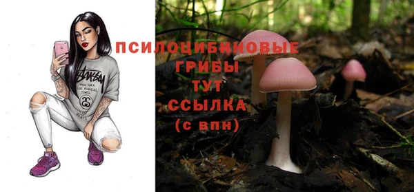 а пвп мука Гусев