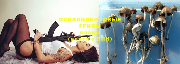 ALPHA-PVP Гусь-Хрустальный