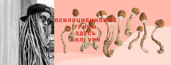 а пвп мука Гусев