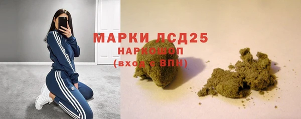 амф Гусиноозёрск