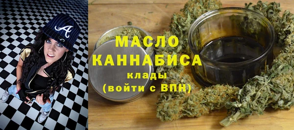 амф Гусиноозёрск