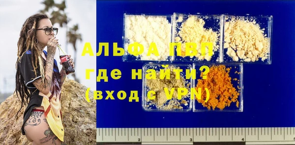 амф Гусиноозёрск