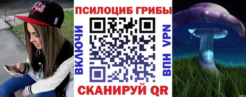 Псилоцибиновые грибы Psilocybine cubensis  ОМГ ОМГ сайт  Чишмы 